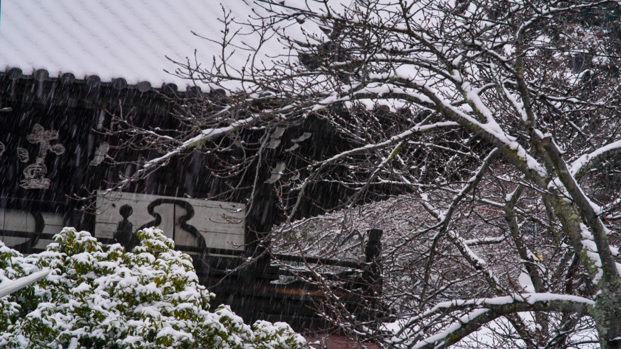雪とお寺の写真